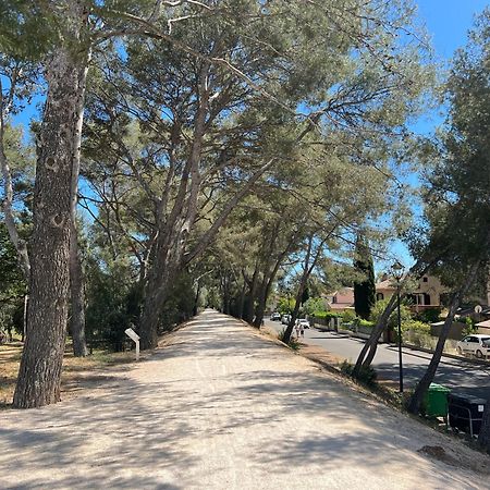 Petit Mas Au Paradis Avec Piscine Pour 6 Personnes La Londe-les-Maures Kültér fotó