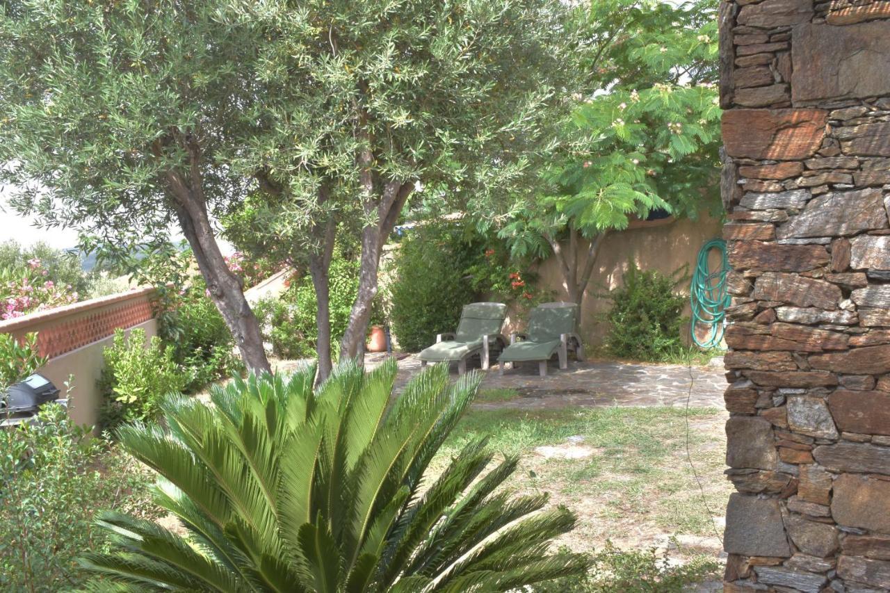 Petit Mas Au Paradis Avec Piscine Pour 6 Personnes La Londe-les-Maures Kültér fotó