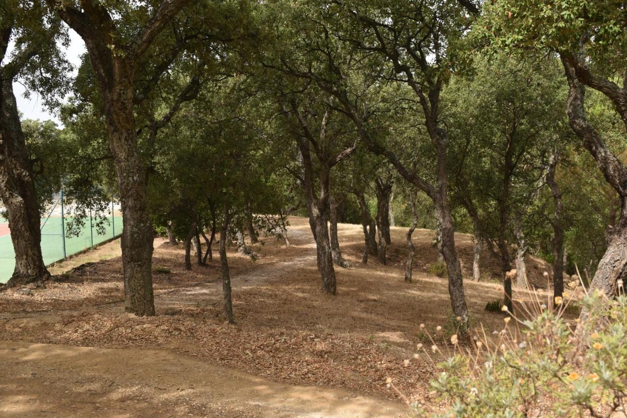 Petit Mas Au Paradis Avec Piscine Pour 6 Personnes La Londe-les-Maures Kültér fotó