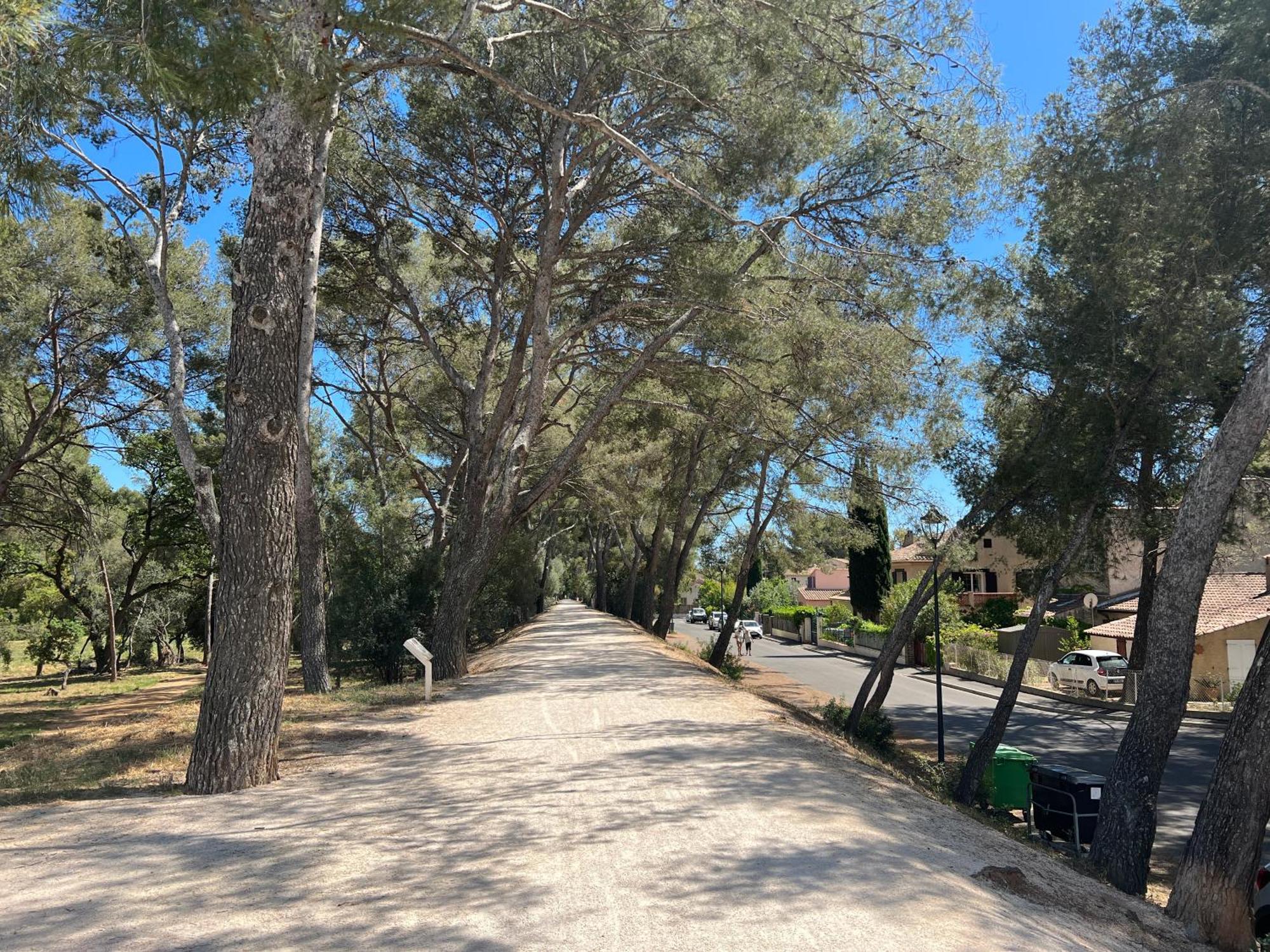Petit Mas Au Paradis Avec Piscine Pour 6 Personnes La Londe-les-Maures Kültér fotó